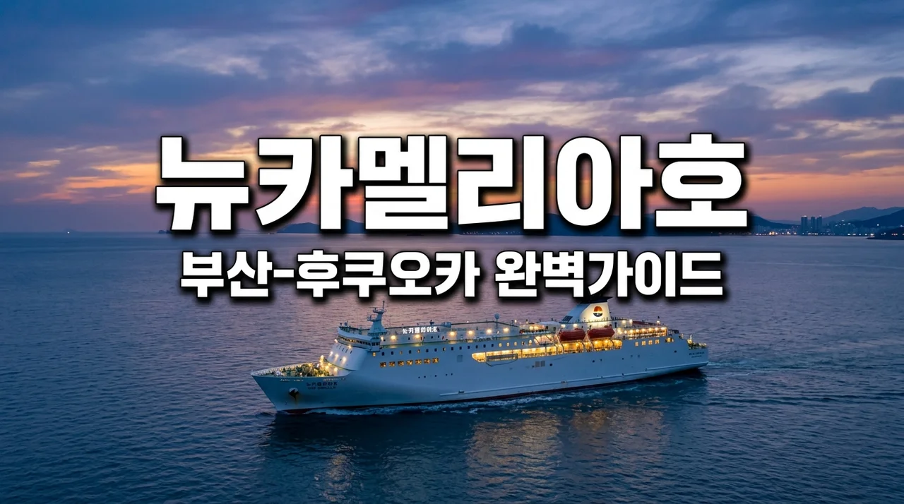 뉴카멜리아호 부산 후쿠오카 배편 예약 가격 시간 명당 꿀팁 정리