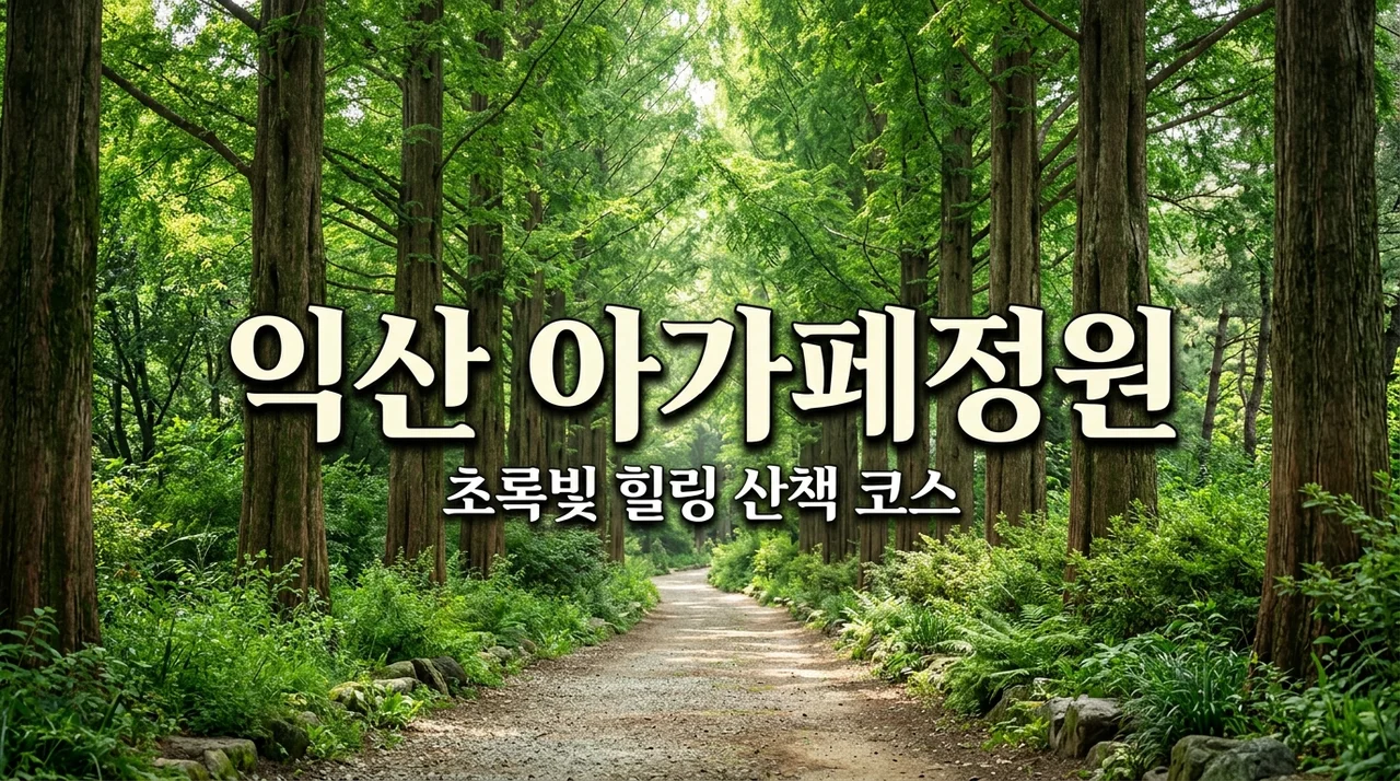 익산 아가페정원 입장료 주차 예약까지! 메타세콰이어 힐링 산책 완벽 가이드