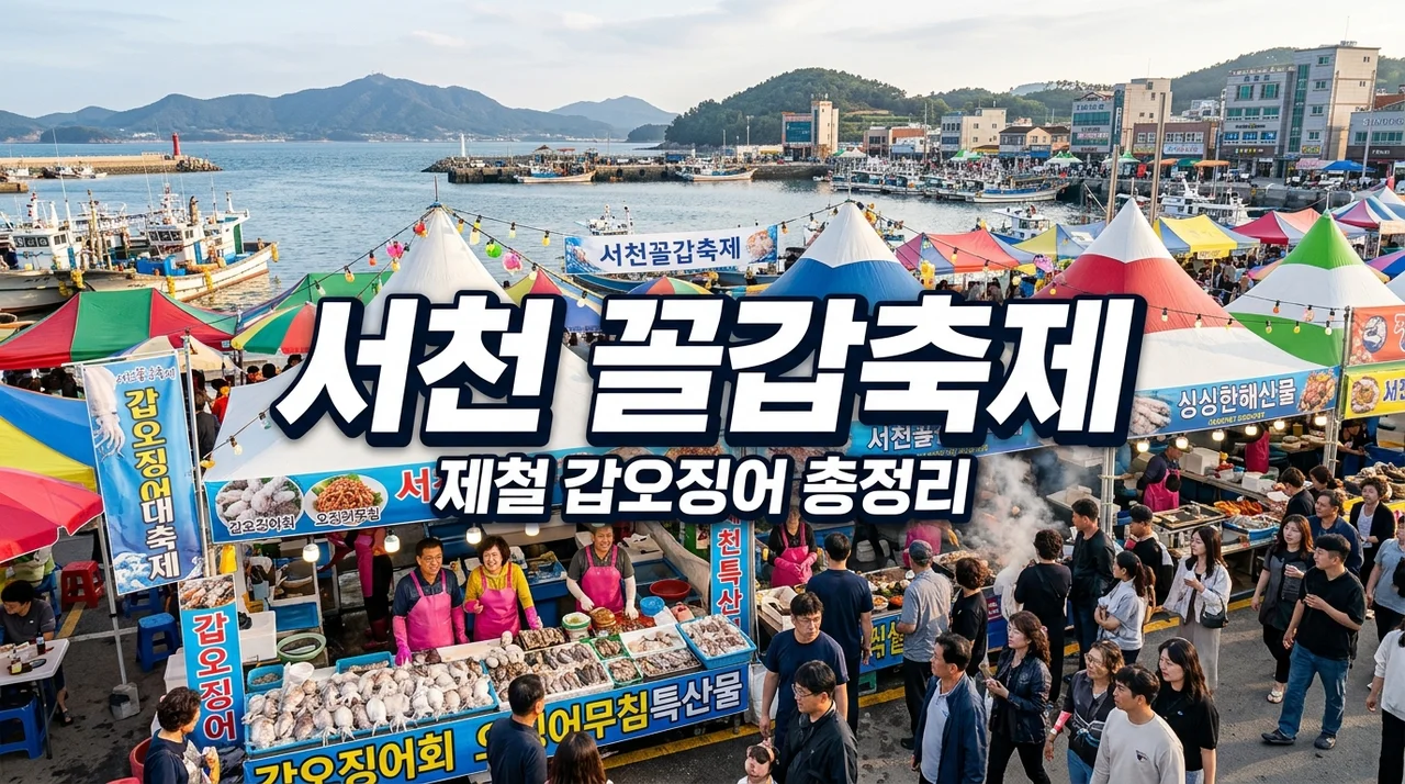 서천 꼴갑축제 2026 일정 주차 갑오징어 가격 체험 완벽 가이드